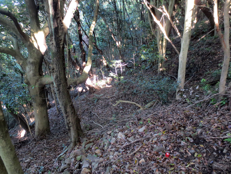 ■『北九州・京築・田川の城』表紙写真撮影行_d0190217_23521058.jpg