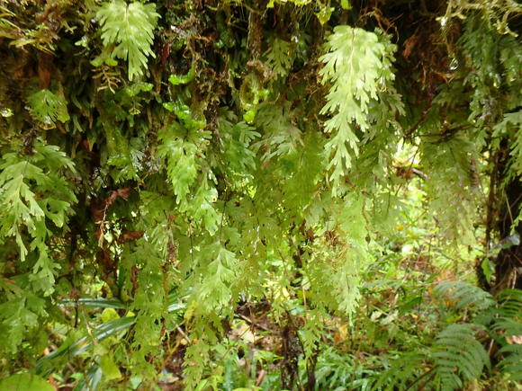 d0187020_2010213.jpg