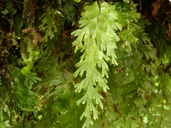 d0187020_20104196.jpg
