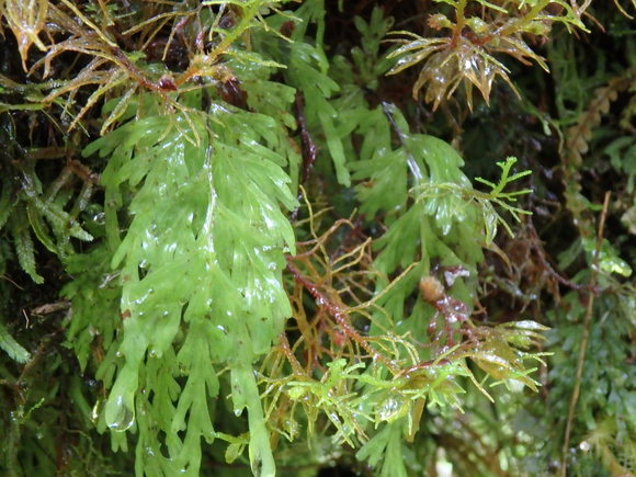 d0187020_20105973.jpg
