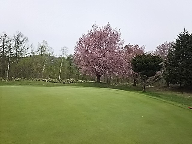 f0227321_18111981.jpg