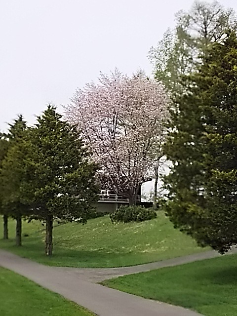 f0227321_181139.jpg