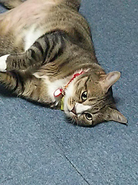 f0227321_1817061.jpg