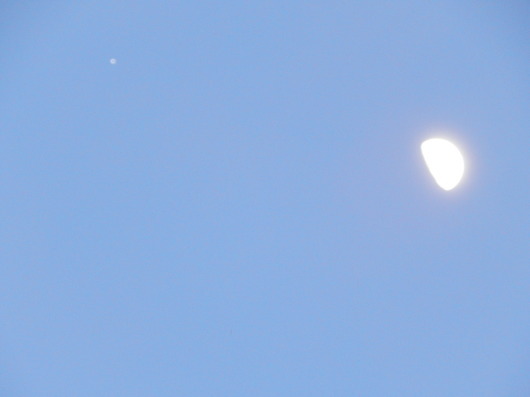 b0368324_12453705.jpg
