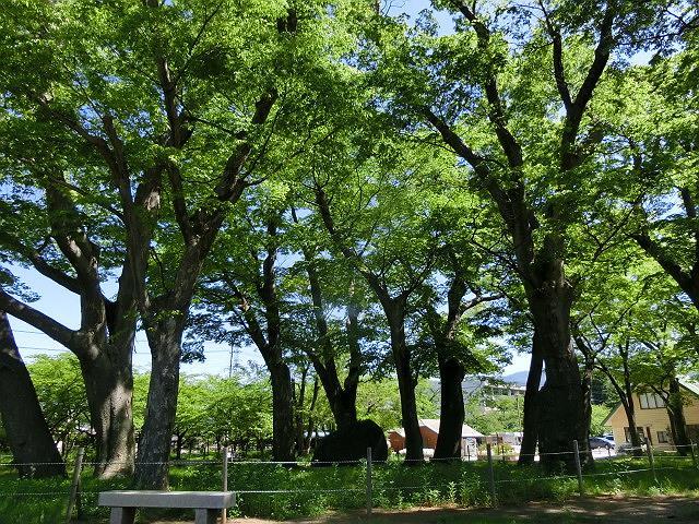 e0234924_17053468.jpg