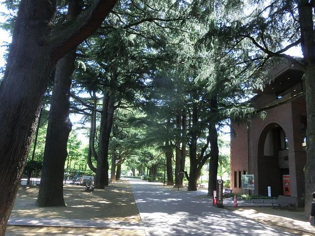 e0234924_17213606.jpg