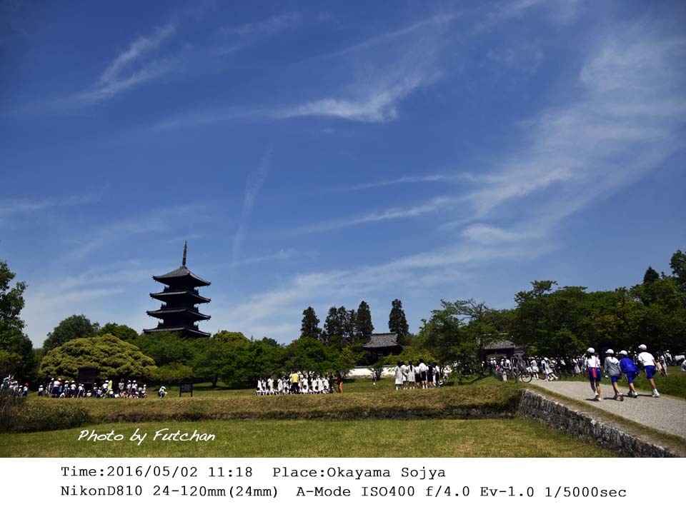 レンゲの花咲く春の空 by 空倶楽部_a0158226_10203857.jpg