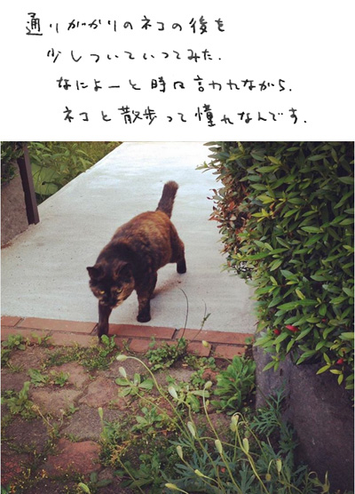 猫と散歩_c0026926_2335453.jpg