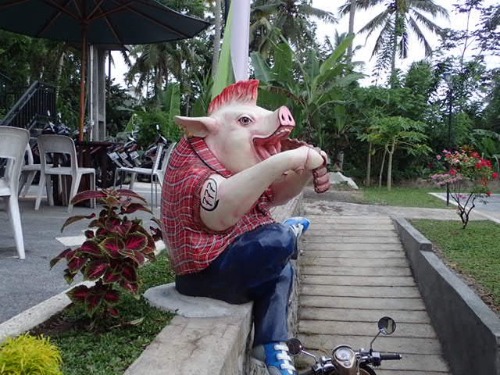 e0039033_201077.jpg