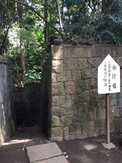 d0178136_1225219.jpg