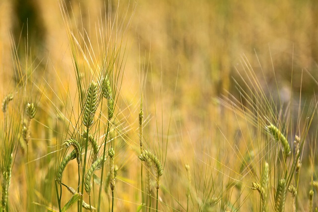 a0242438_18131963.jpg