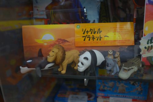 シャクレルプラネット_e0080345_1534864.jpg