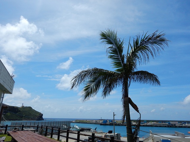5月15日 今日の与那国とよしまる荘_b0158746_14344755.jpg