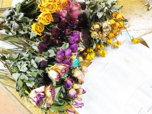 ドライフラワー 花松日記 ドライフラワー 花松日記