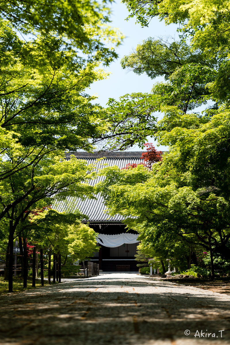 f0152550_14173265.jpg