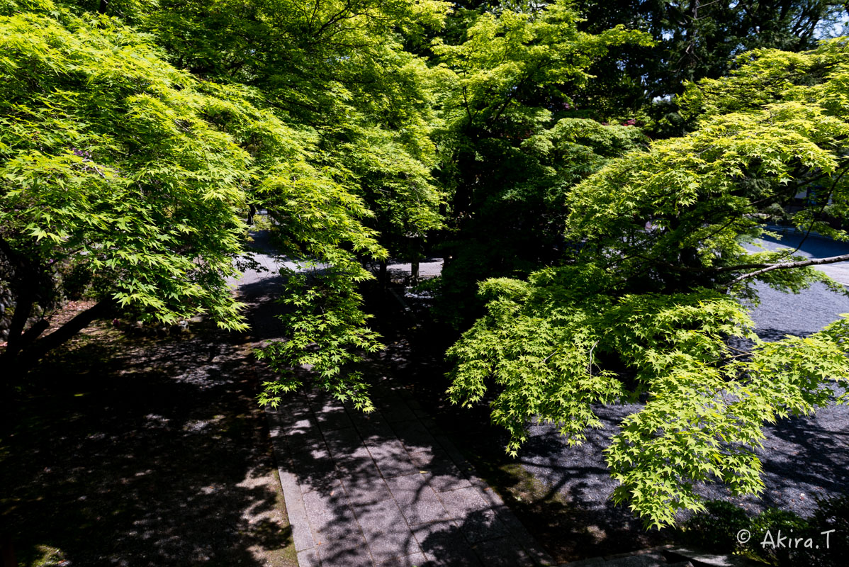 f0152550_14194282.jpg