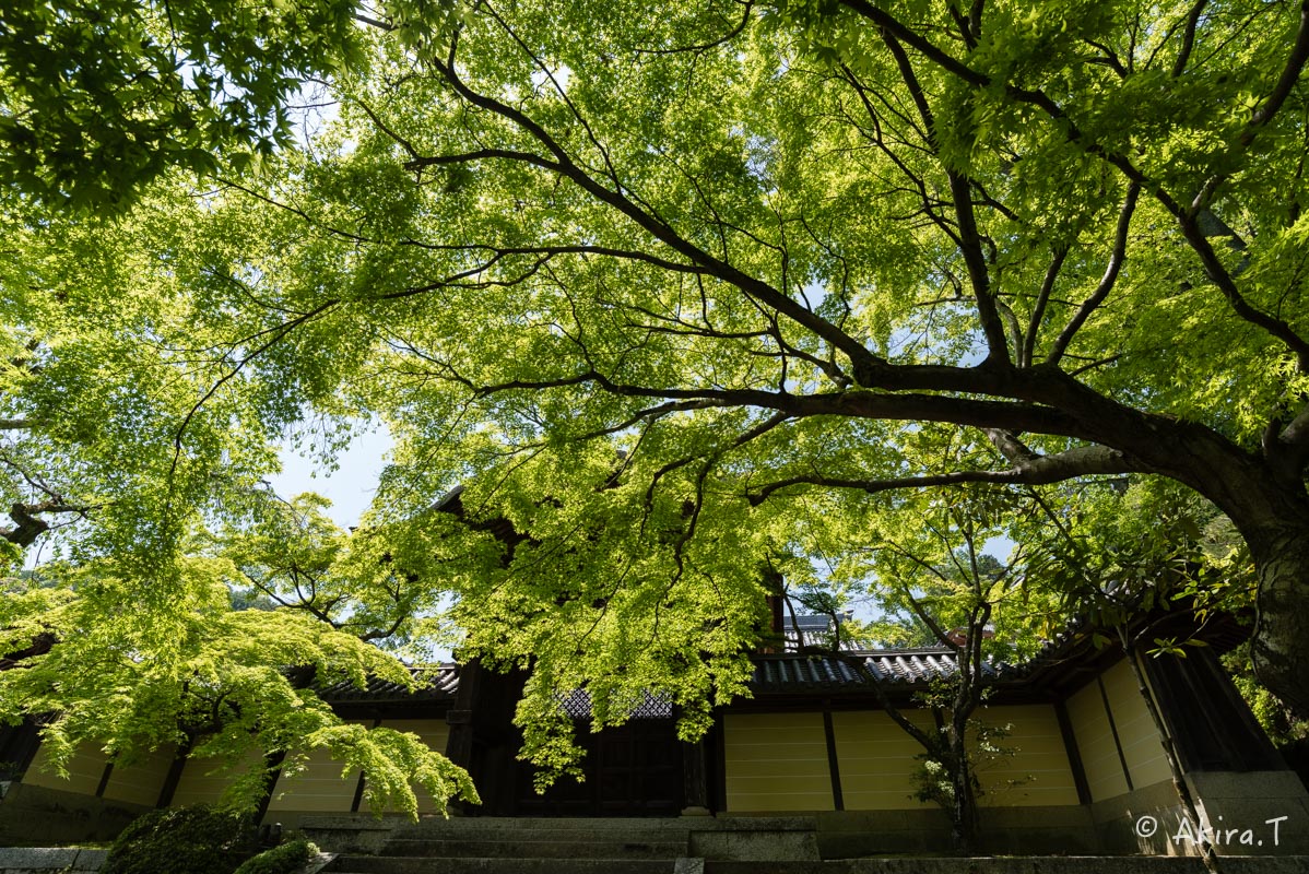 f0152550_14202975.jpg
