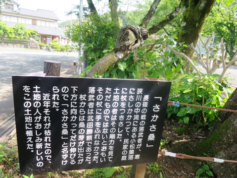 f0202151_20125383.jpg