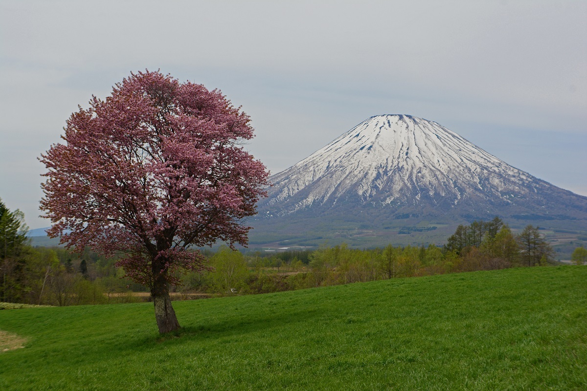 d0333958_18182596.jpg