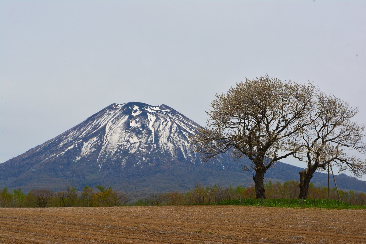 d0333958_18192234.jpg