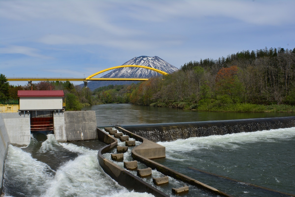 d0333958_18195633.jpg