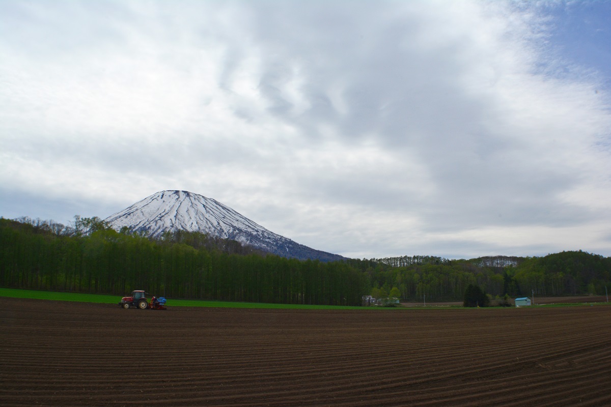 d0333958_18203051.jpg
