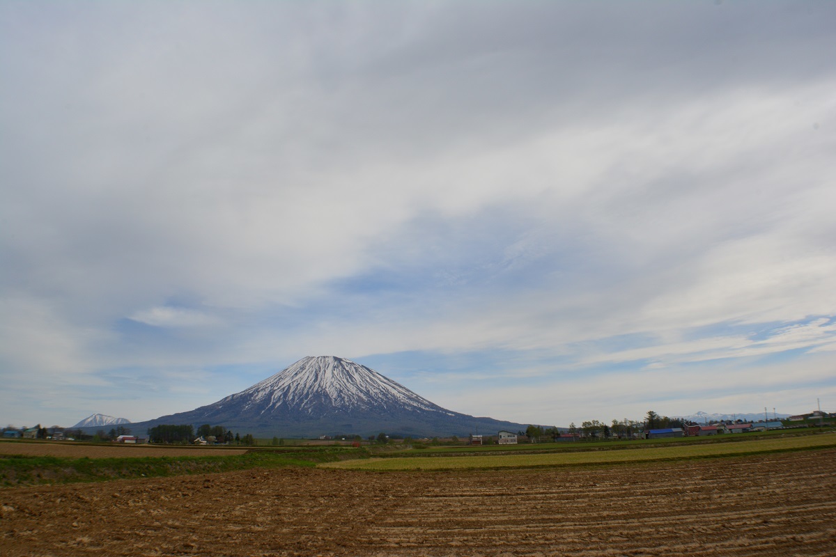 d0333958_18205049.jpg