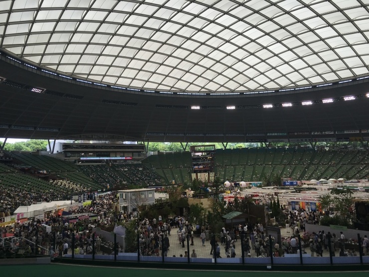 b0061261_19361786.jpeg