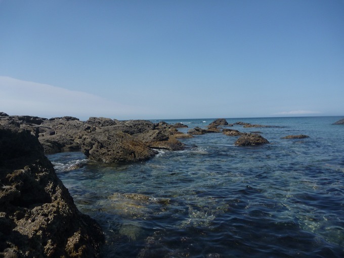 c0351262_15372916.jpg