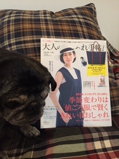 引き続き掲載誌など_c0197663_14321257.jpg