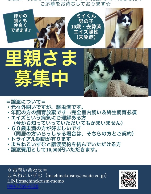 e0338864_19555448.jpeg