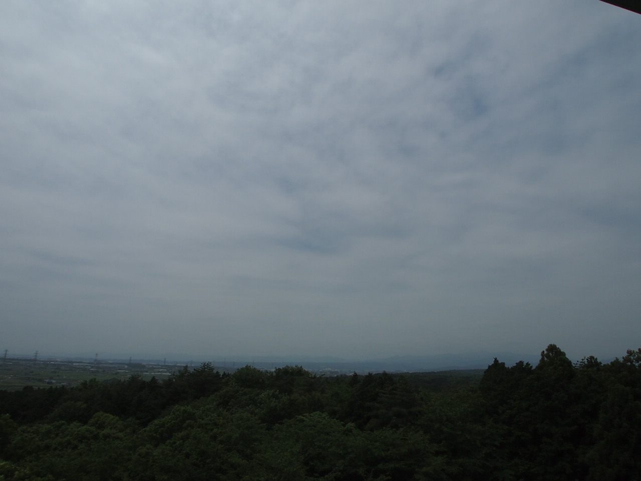 c0321967_20005497.jpeg