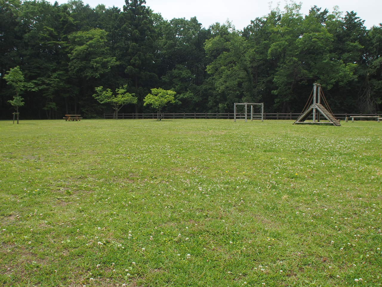 c0321967_20095529.jpeg