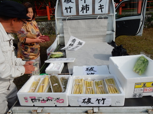 高峰秀子『台所のオーケストラ』_f0054677_07434784.jpg