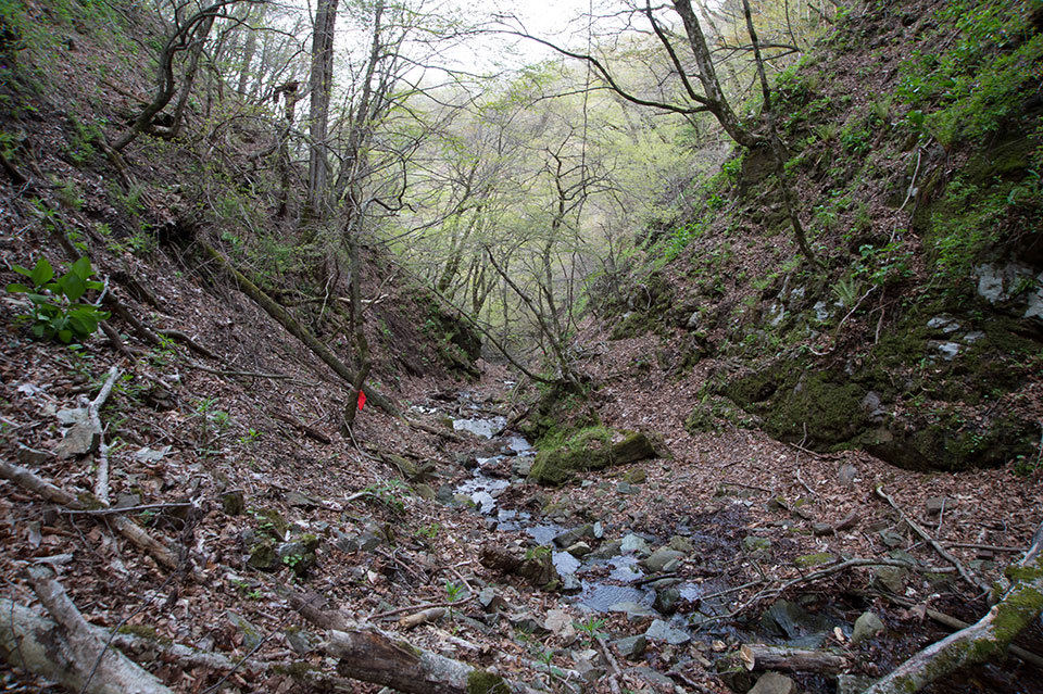 様似山道　2016/5/14_f0109977_21450504.jpg