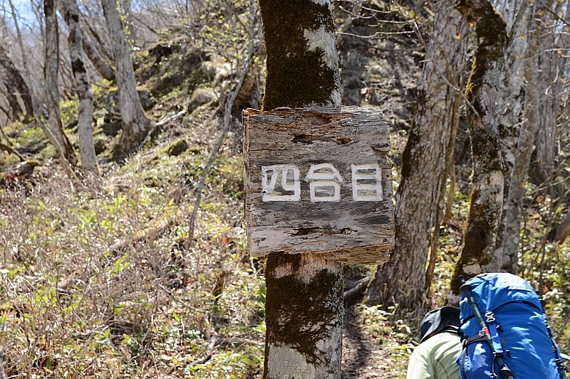 ピセナイ山1027m✮晴天無風✮2016.5.14_e0335379_1049429.jpg