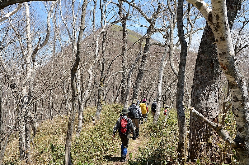 ピセナイ山1027m✮晴天無風✮2016.5.14_e0335379_10512823.jpg