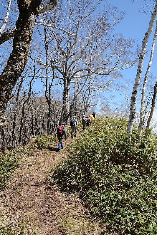 ピセナイ山1027m✮晴天無風✮2016.5.14_e0335379_10514819.jpg