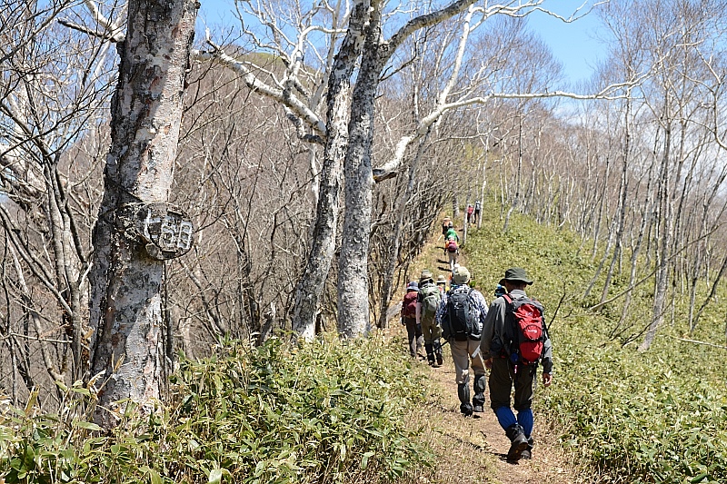 ピセナイ山1027m✮晴天無風✮2016.5.14_e0335379_1052378.jpg