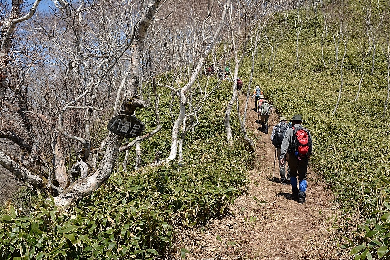 ピセナイ山1027m✮晴天無風✮2016.5.14_e0335379_10532259.jpg