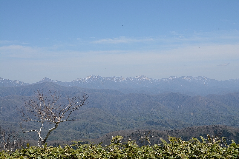 ピセナイ山1027m✮晴天無風✮2016.5.14_e0335379_13154471.jpg