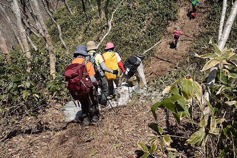 ピセナイ山1027m✮晴天無風✮2016.5.14_e0335379_13164530.jpg