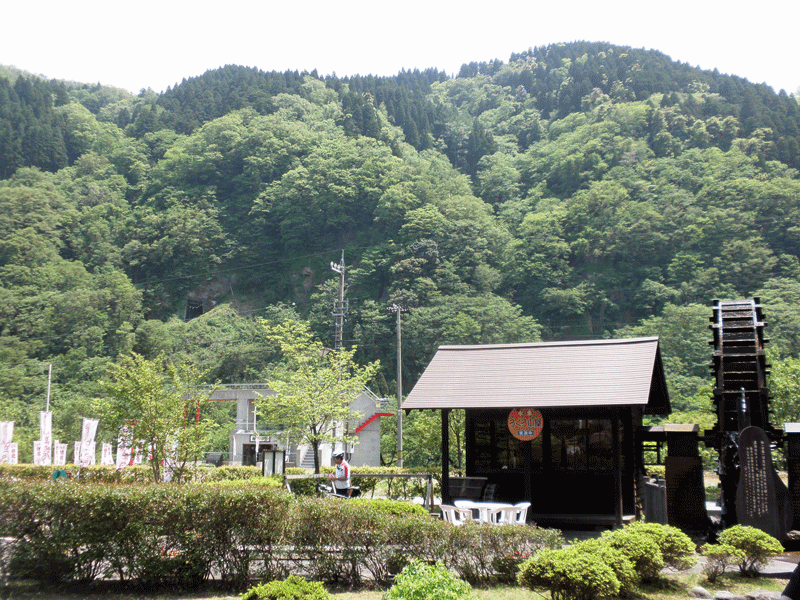 b0098881_20595447.gif