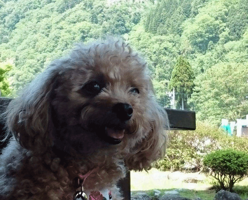 b0098881_2123483.gif