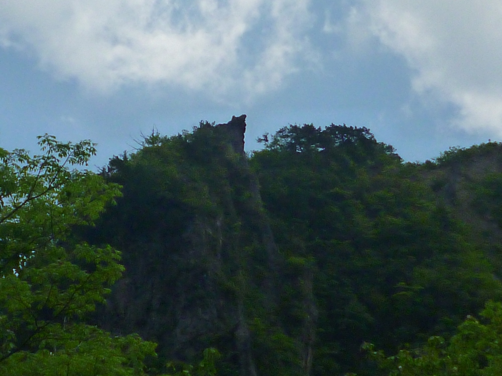 e0355083_1750324.jpg