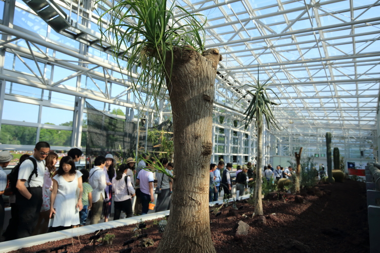 神代植物公園 大温室 竣工 その1 ゴ ン パ 探 検 隊