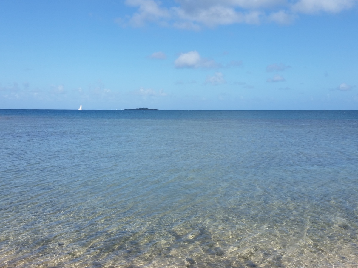 c0013687_22514732.jpg