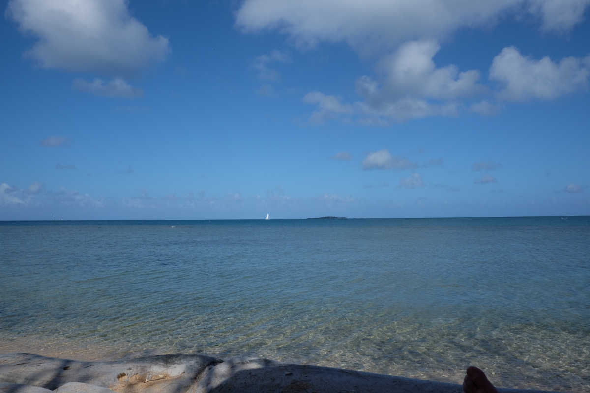 c0013687_23382598.jpg