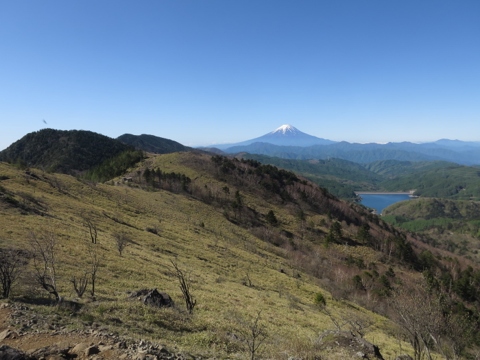 b0339488_21291421.jpg