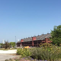 e0124690_14544682.png